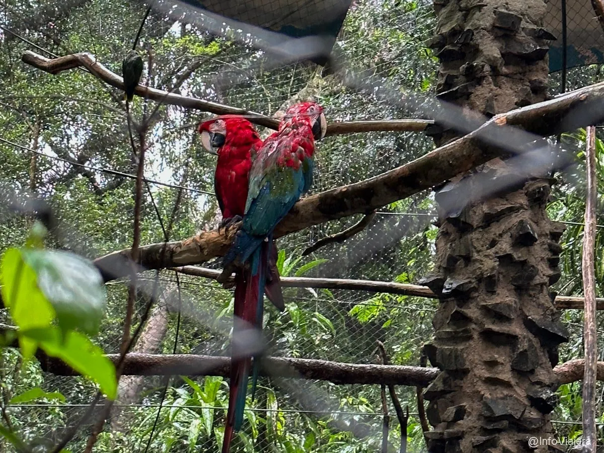 Guira Oga Refugio de aves